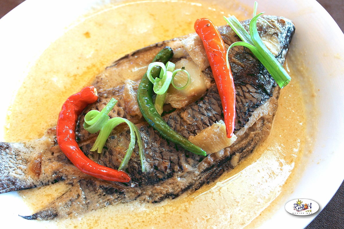 Creamy Ginataang Tilapia Recipe