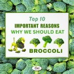 Broccoli Top 10 Health Benefits - Featured Image