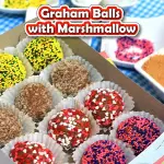 Graham Balls Recipe with Marshmallows