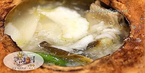 Chicken Binakol