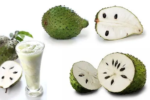 GUYABANO fruit BENEFITS