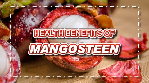 Top Health Benefits of Mangosteen