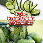 Healths Benefits of Cucumber