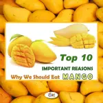 Mango Health Benefits - Featured Image