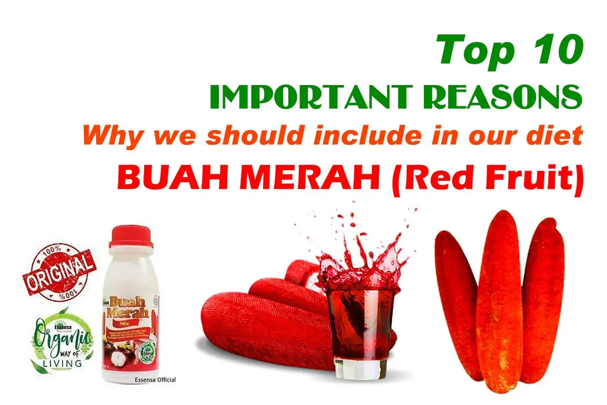 buah merah health benefits