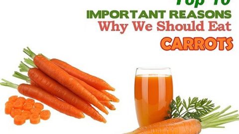 Top ten health benefits of Carrots
