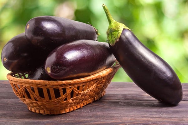 Eggplant Health Benefits 