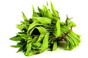 kangkong eyesight
