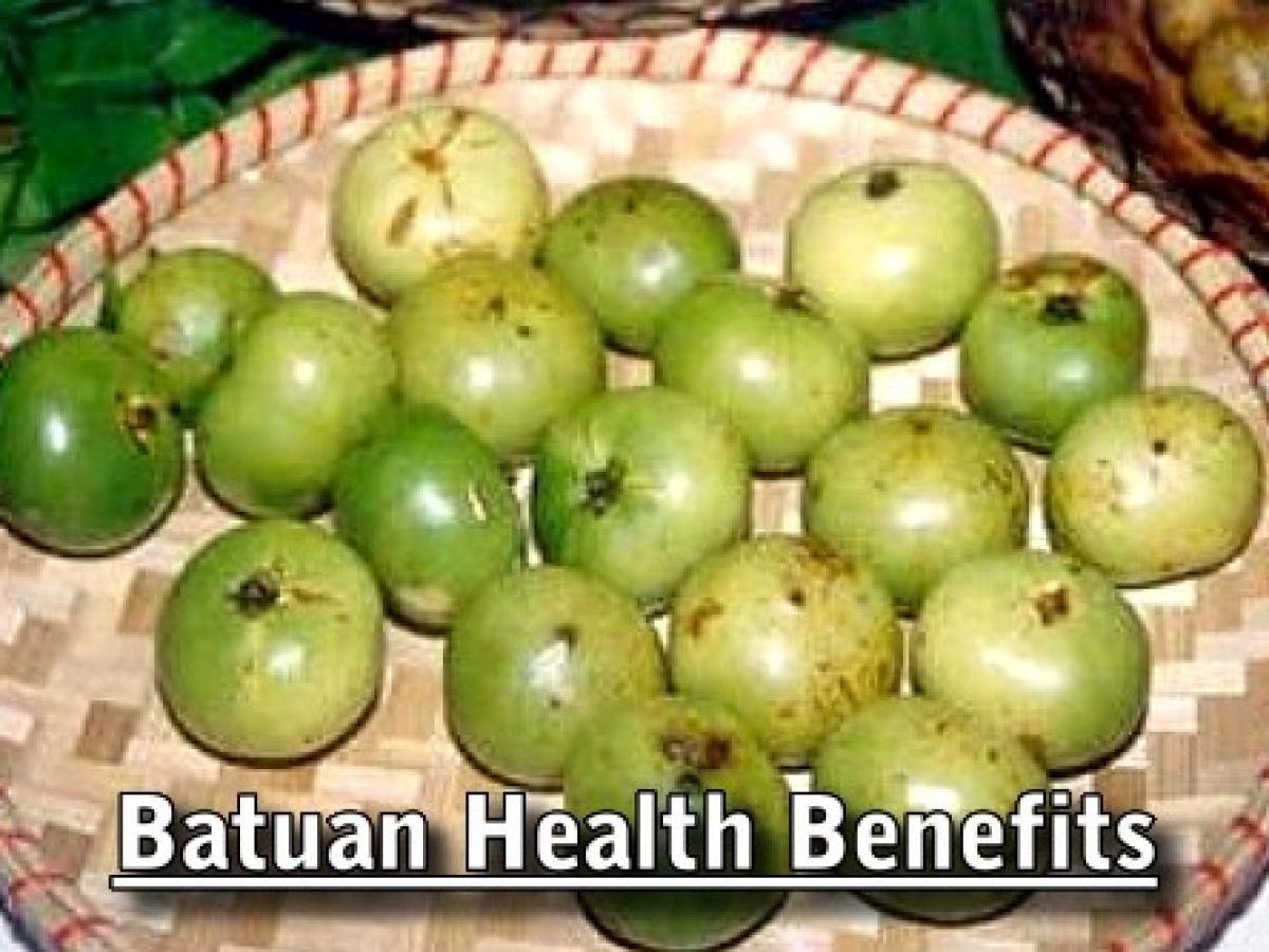 Filipino Fruit Trees Fruit Trees