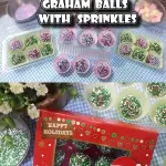 Graham Balls with Marshmallow and Sprinkles Recipe. A no-bake and easy to prepare graham mini treat that looks attractive on a dessert table. This is one of the most popular party favorites, especially for the kiddos, they enjoyed eating this sweet and chewy tiny ball.