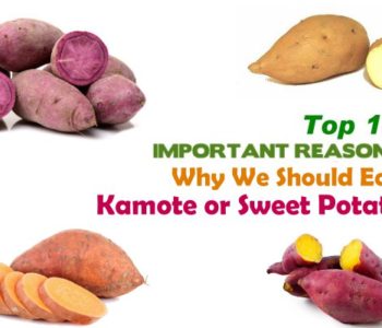 Kamote tops essay 08 image