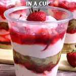 Strawberry Graham Float in a Cup Recipe