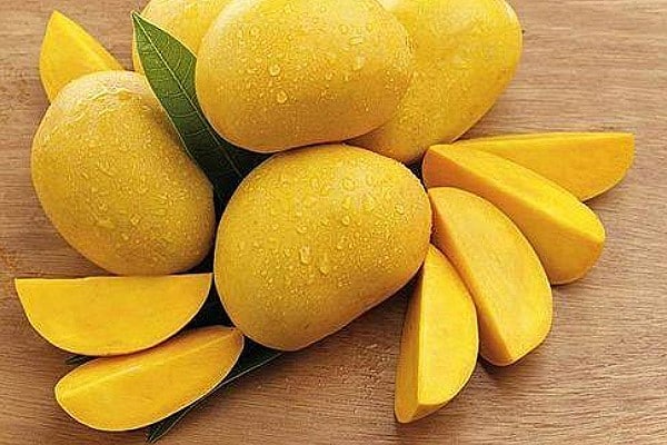 Mango fruit