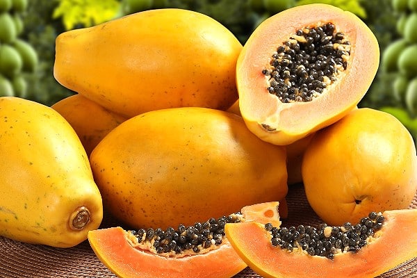 Papaya Health Benefits