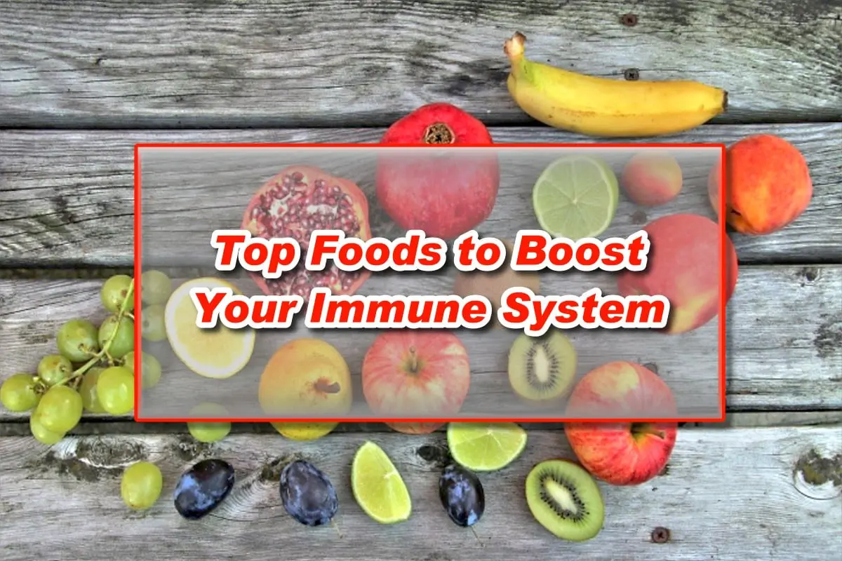 Top Foods to Boost Your Immune System
