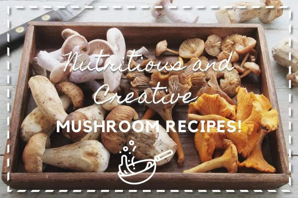 Nutritious and CreativeMushroom Recipes