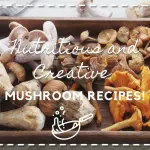 Nutritious and CreativeMushroom Recipes