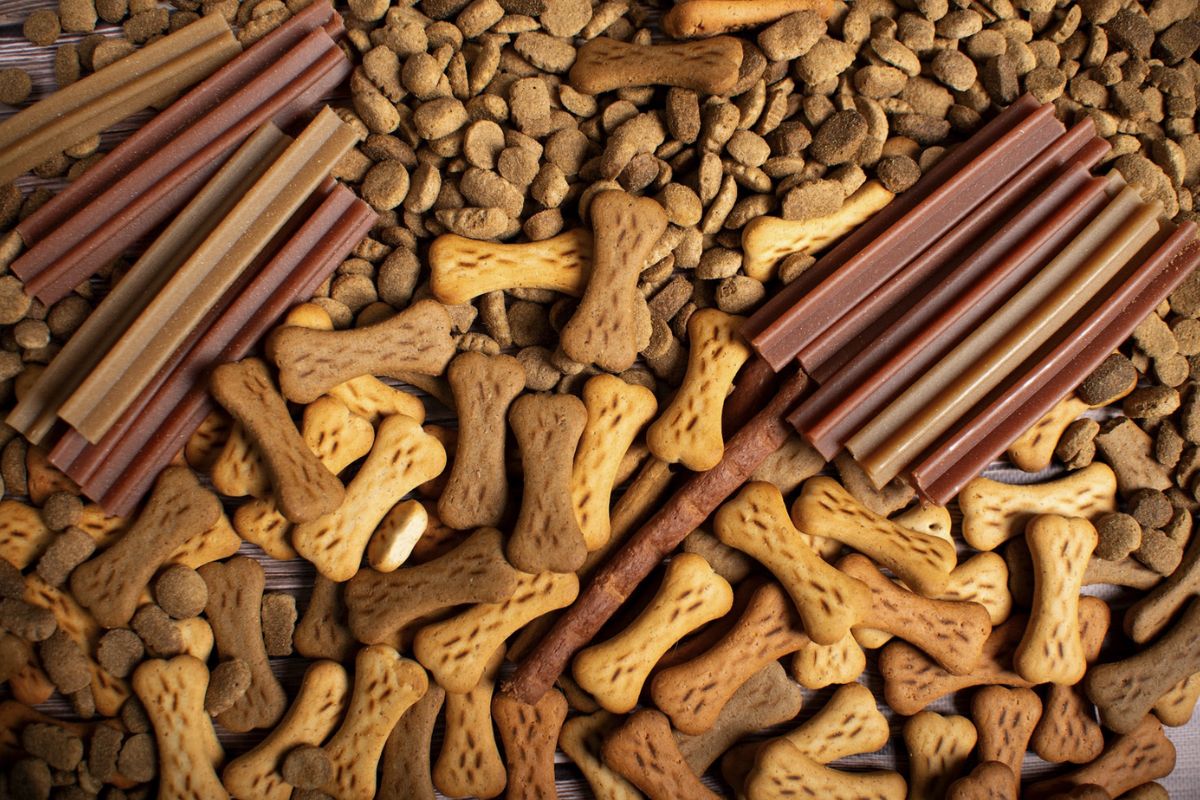 Treat your furbabies at the Big Bites Pawty at SM Supermalls